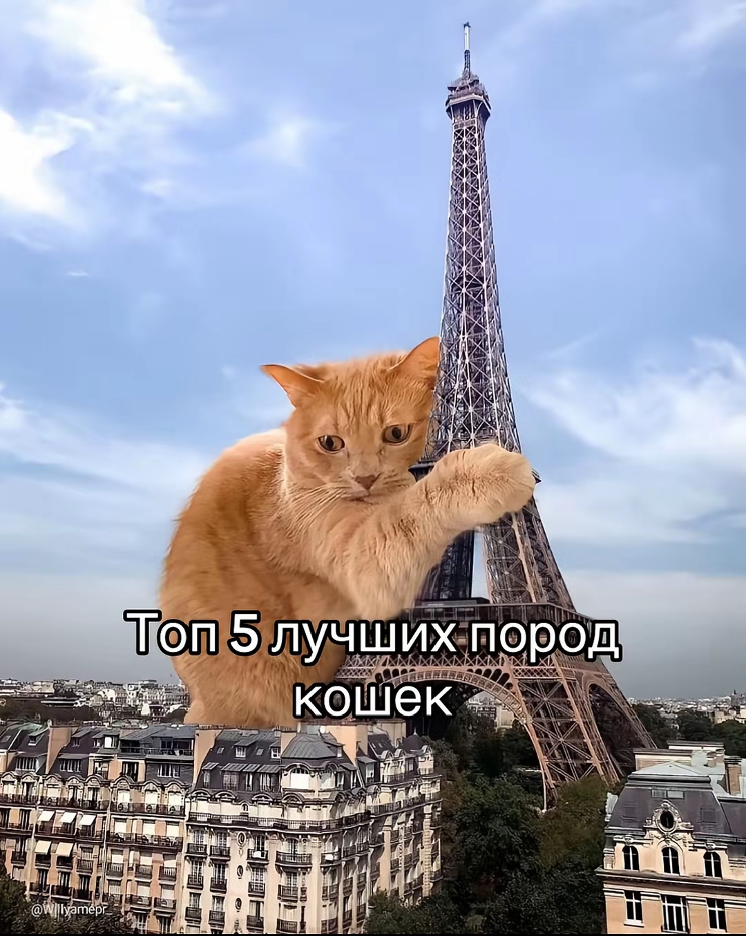 @ТЕРМИНАТОР