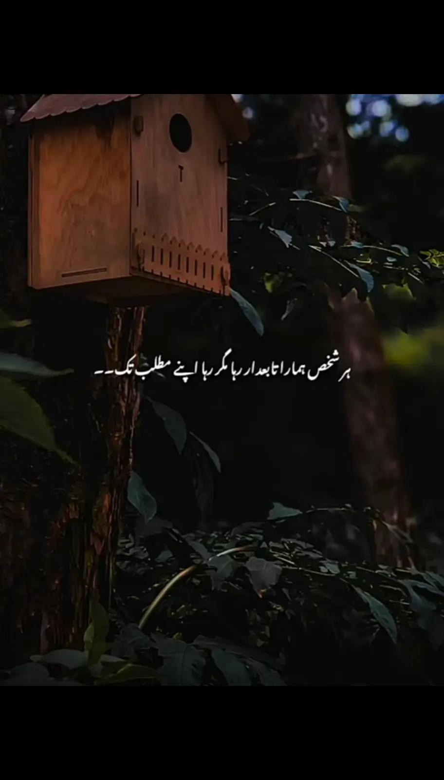 @shehz@diiiiiiiiii