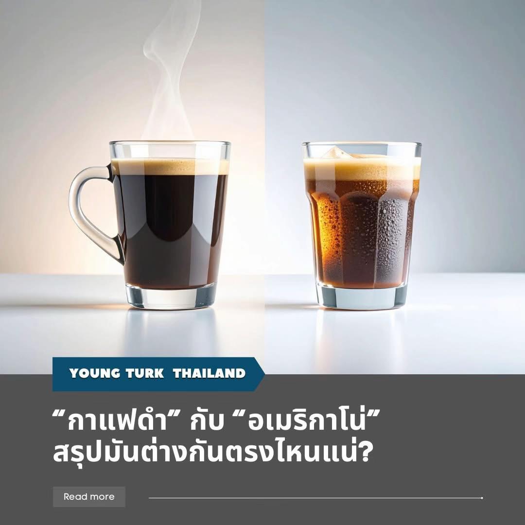 @Young Turk Thailand