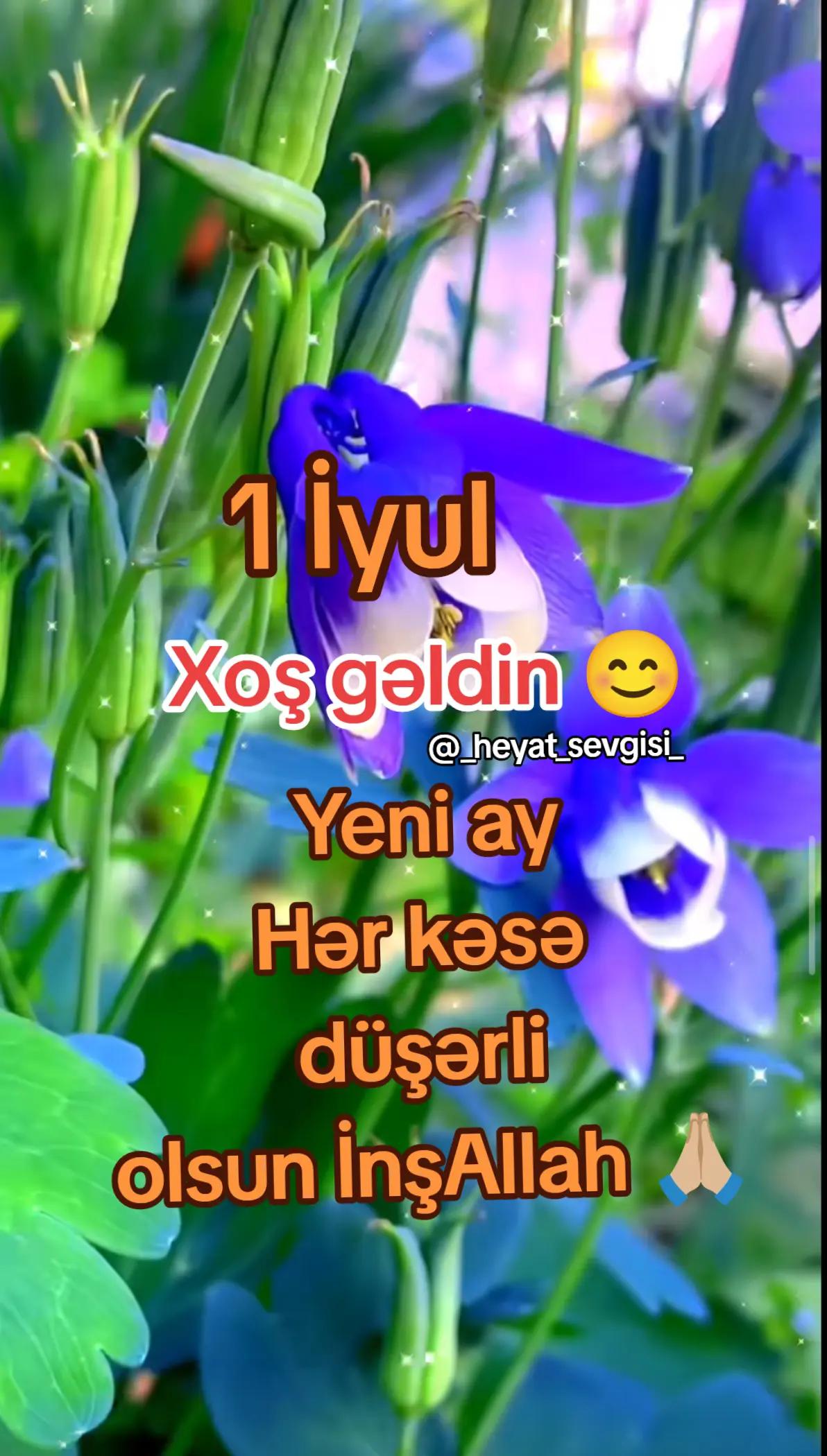 @💖✨