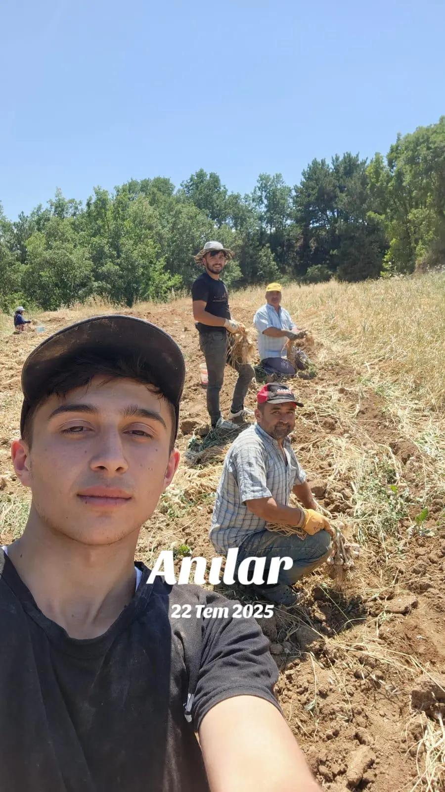 @mustafa Gül