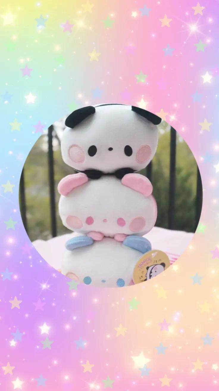 @My daughter's dog Bocchi✅️
