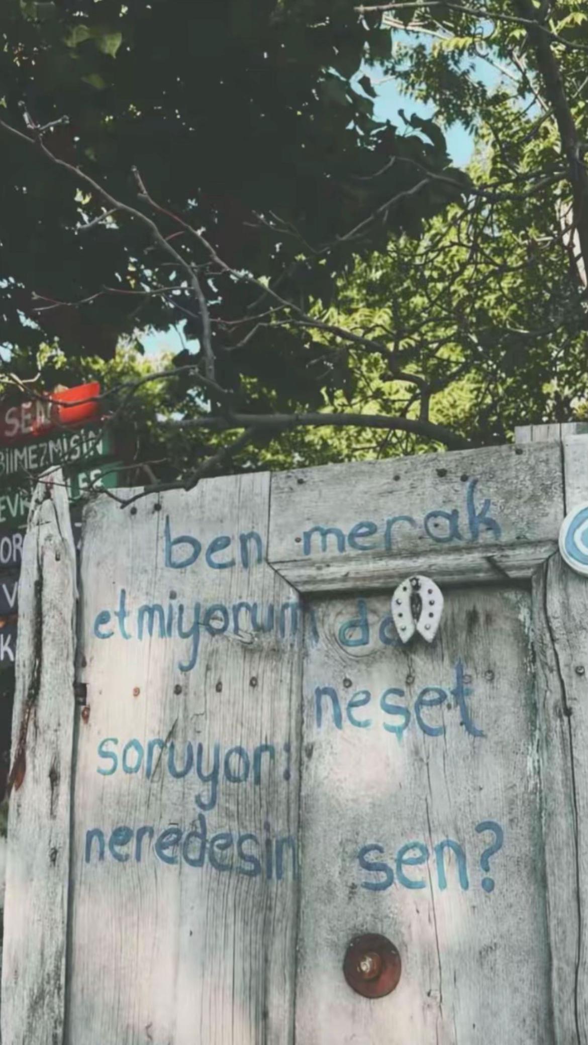 @qw.ceylisss