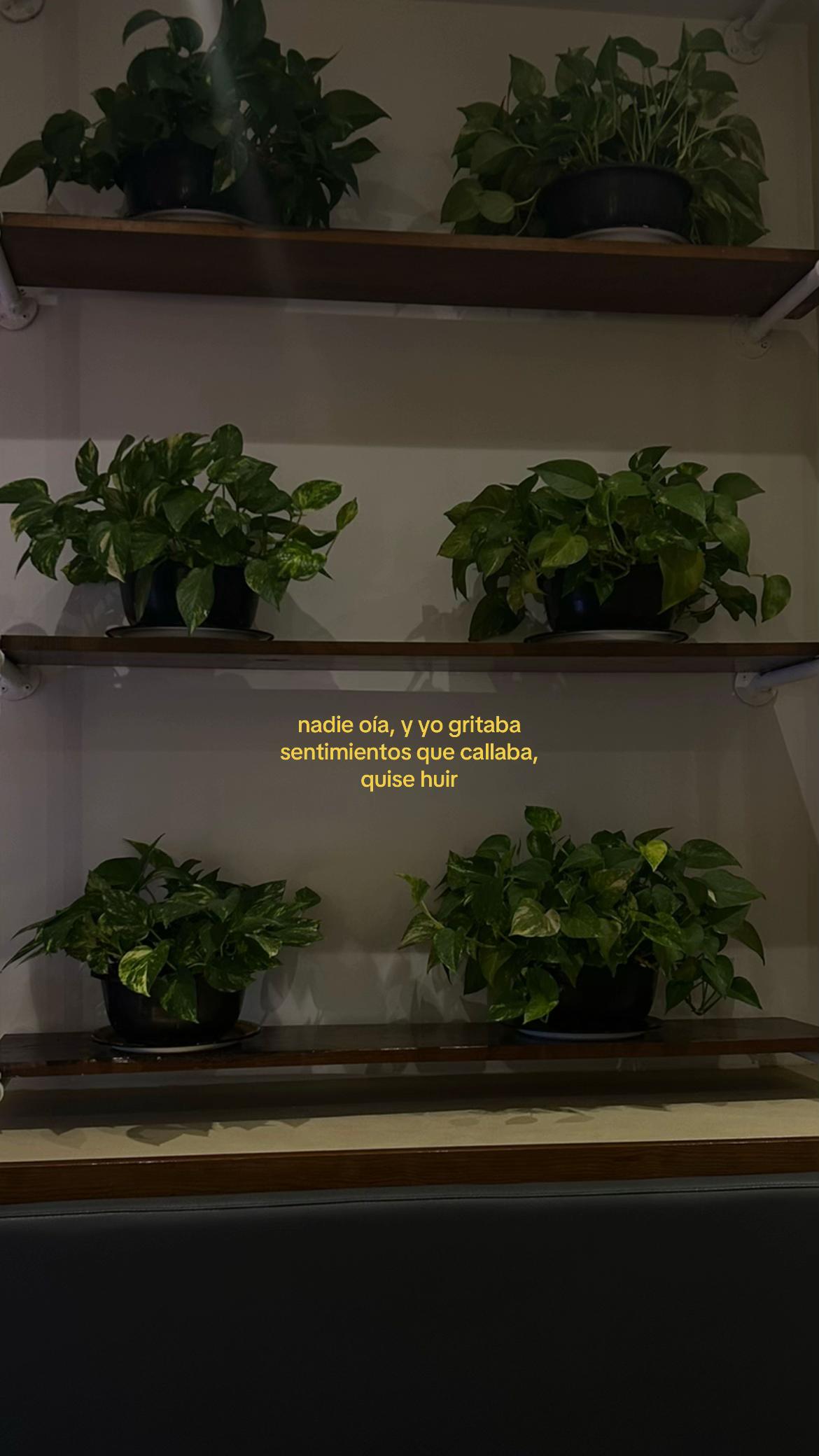 @majo ݁⋆ ★ ˚。⋆