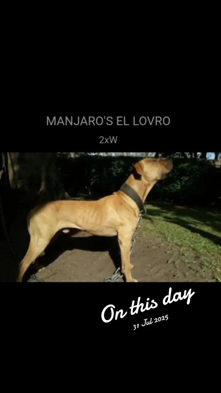 @SAAPBT_GAMEDOGS