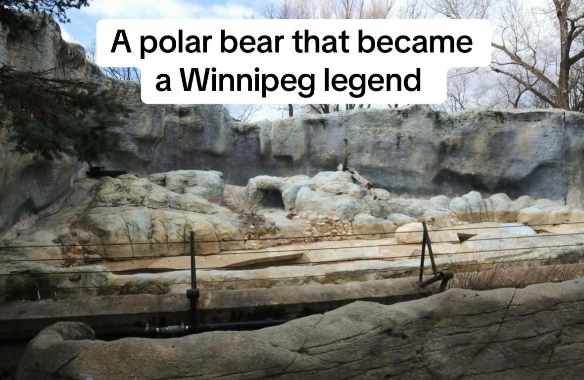 @OnlyInPeg