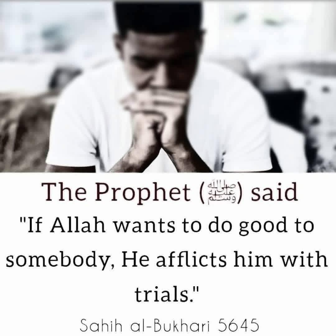 @Ali