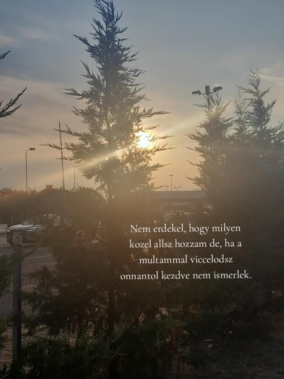 @𝓐𝓷𝓷𝓪
