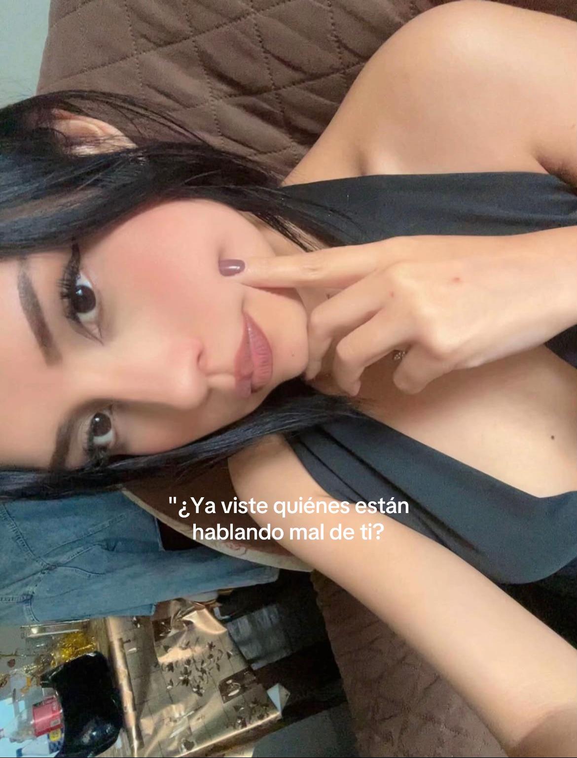 @brisa
