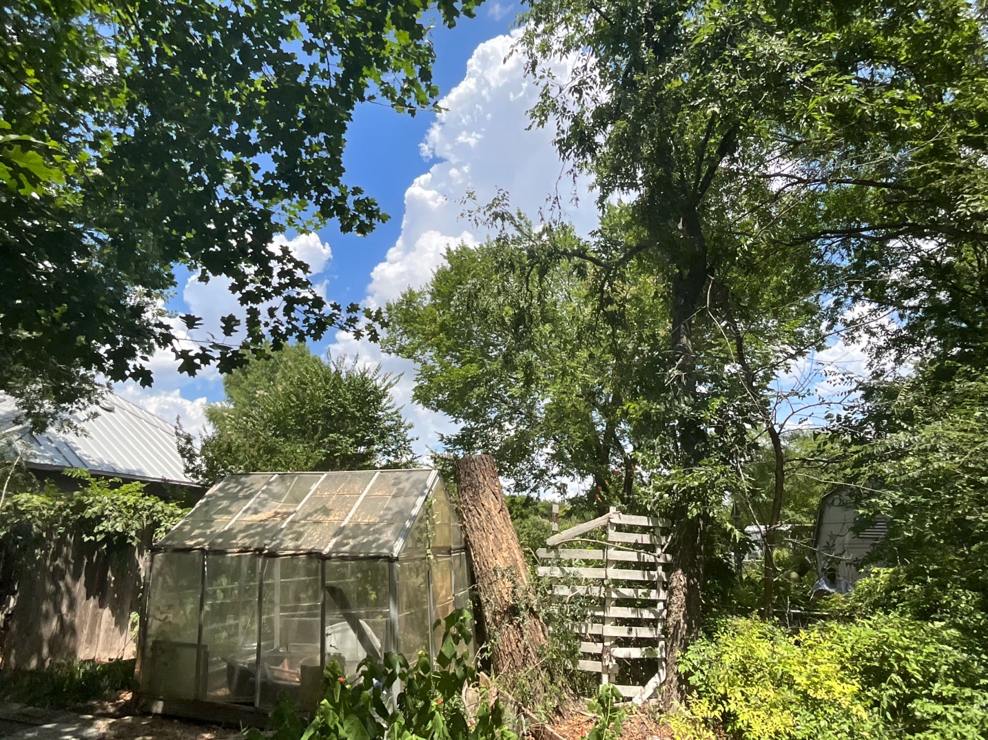 @Live Oak Tree Service