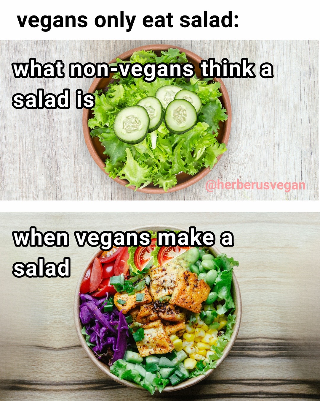 @Herberus Vegan Tees