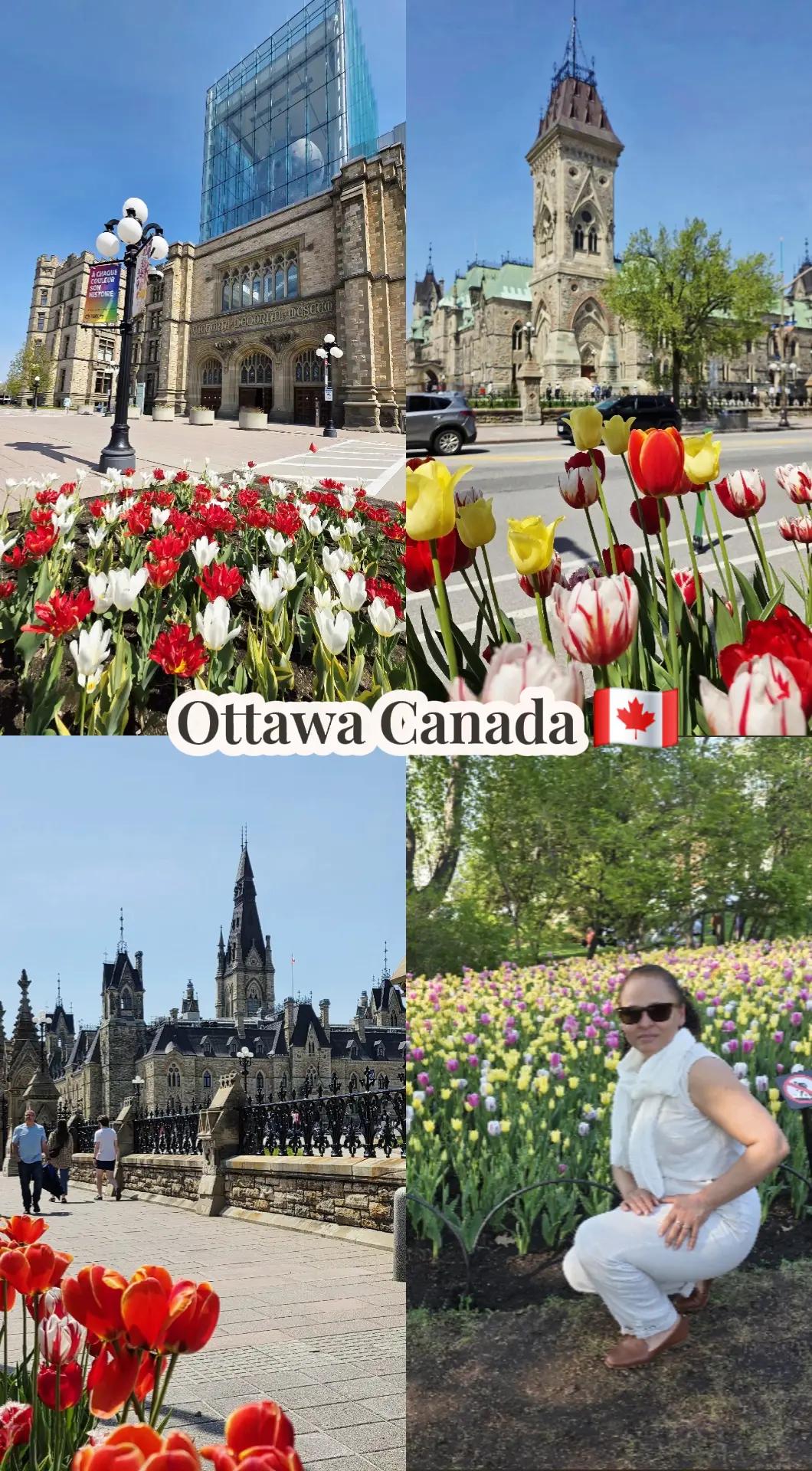@travel/viaje🇨🇦porcanada