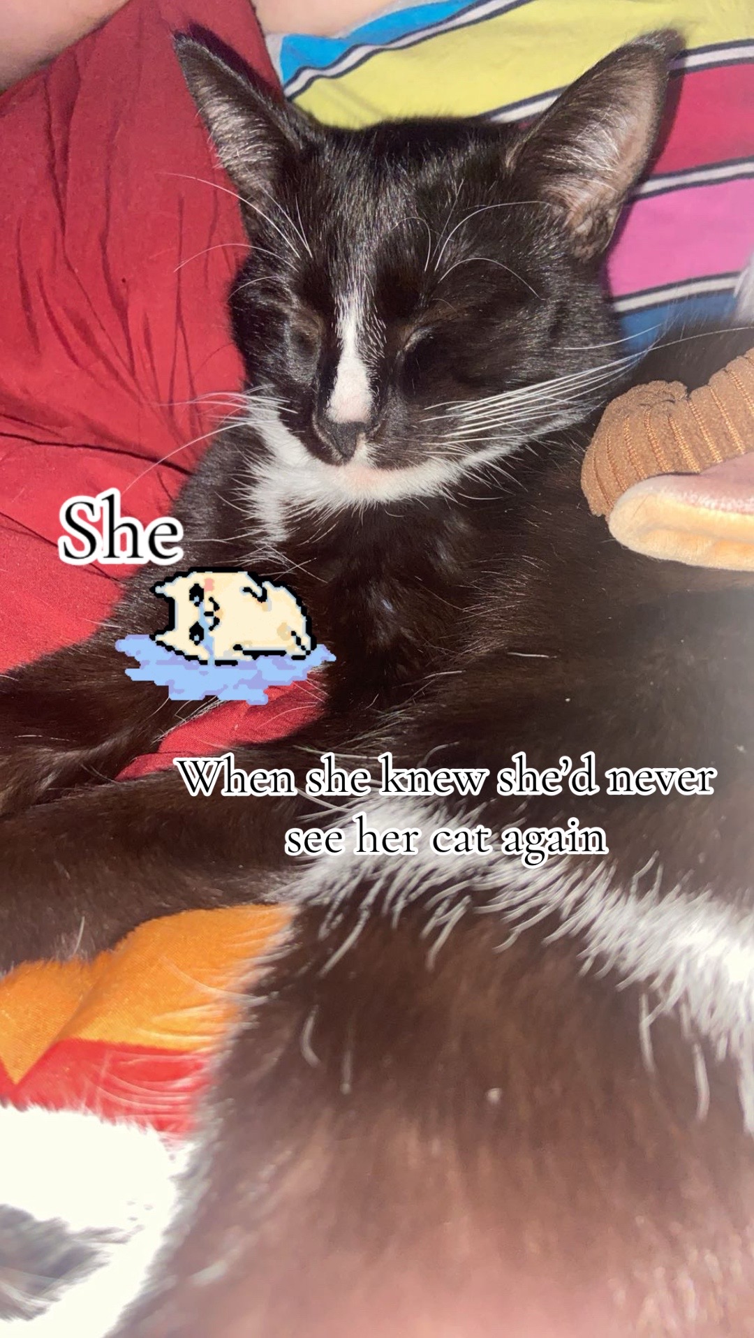 @⋆˚࿔ 𝓒𝓪𝔂𝓵𝓪 𝜗𝜚˚⋆