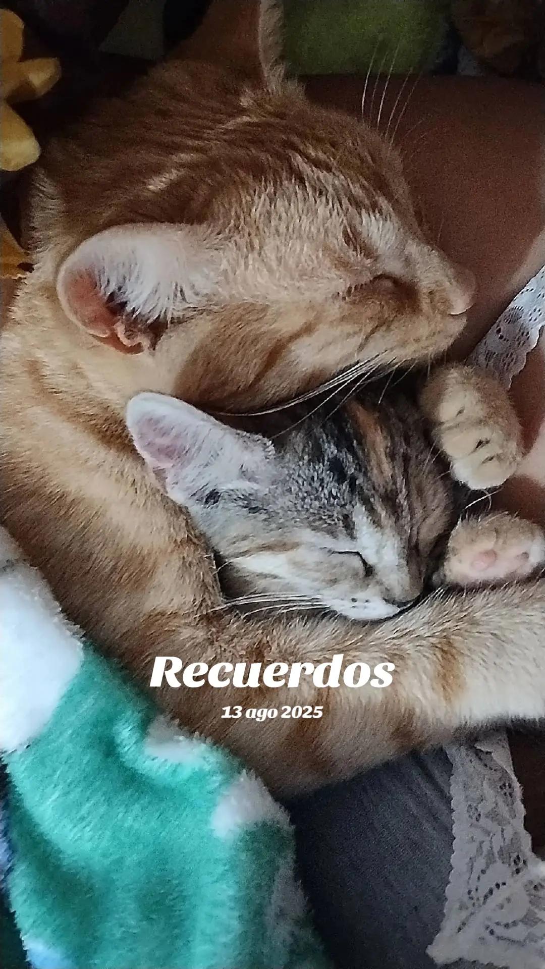 @Amor de dios