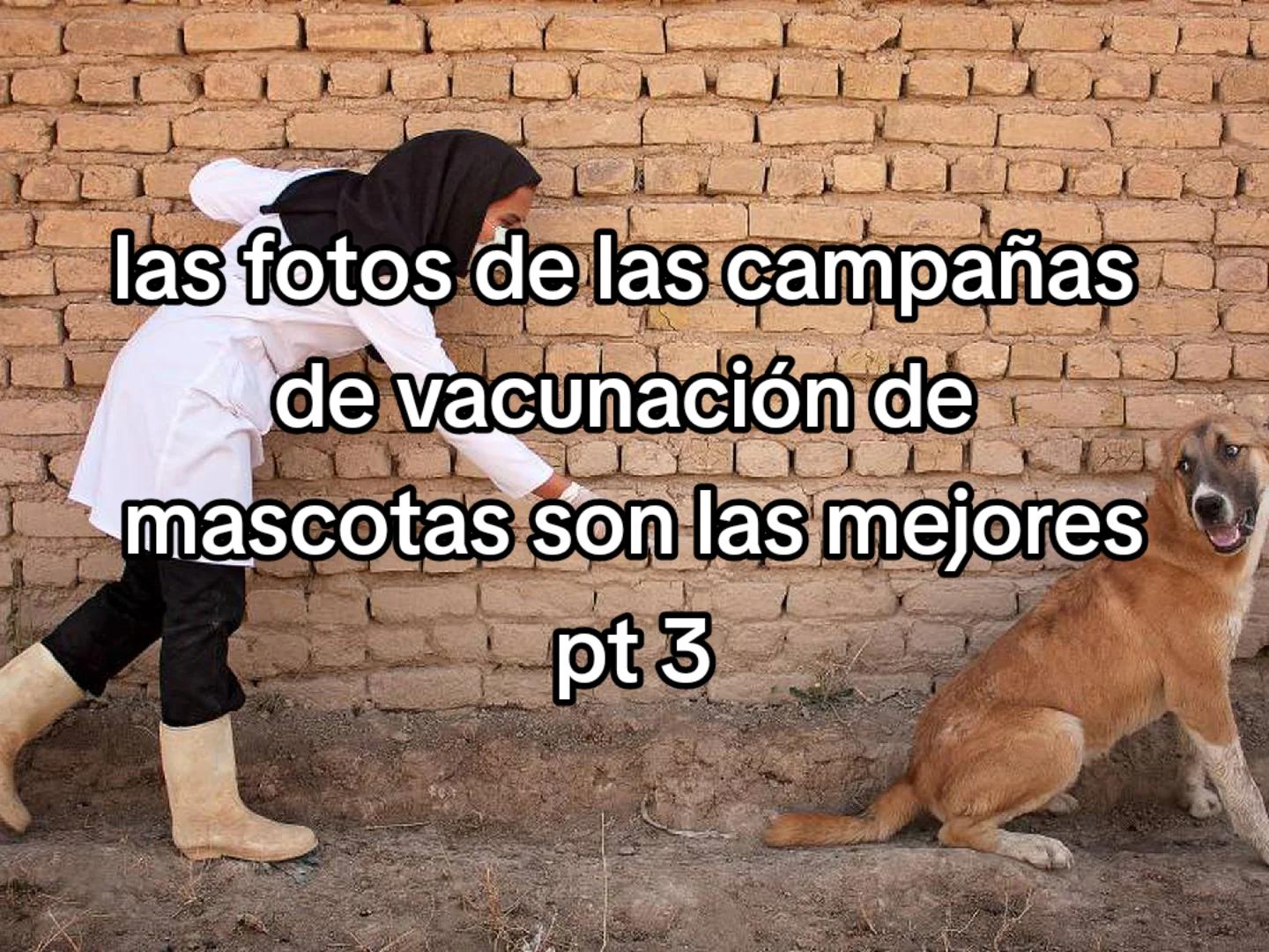 @Nahuel Robles