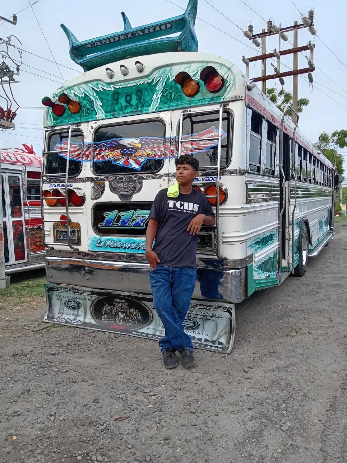 @buses elegantes 503