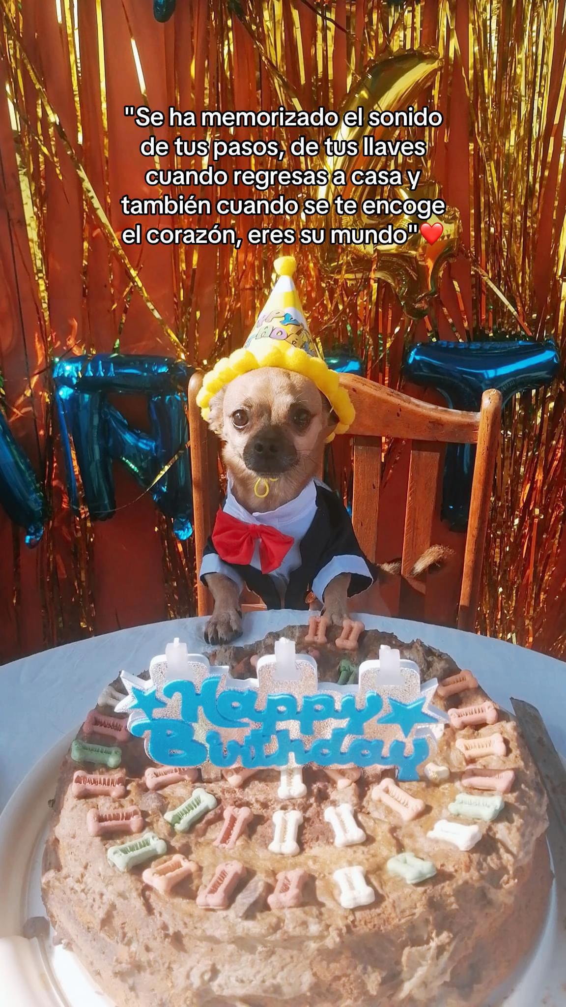 @Monica Elisa Silva Torres