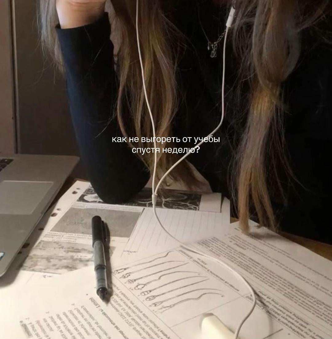 @. 𝄞⋆ ⋆𝐦𝐢𝐧𝐢&rsquo;𝐬 𝐯𝐥𝐨𝐠𝐬.