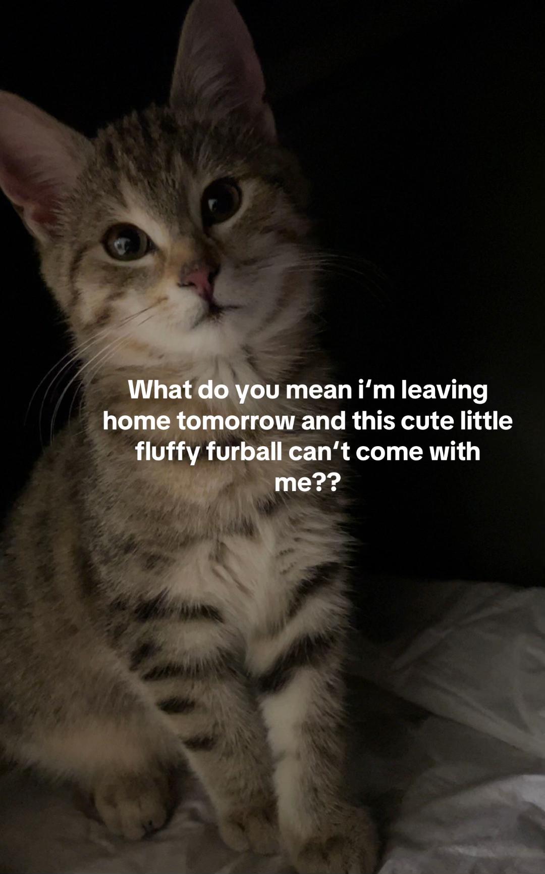 @Marlene