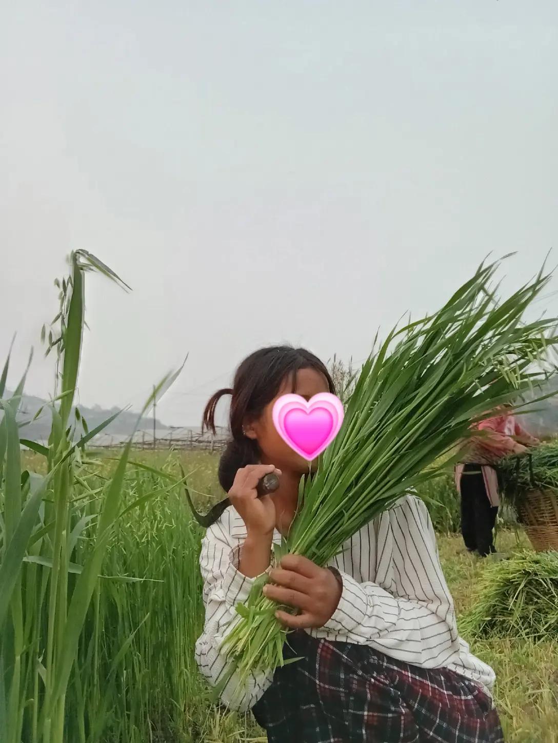 @lopchansya kanxi💝💐