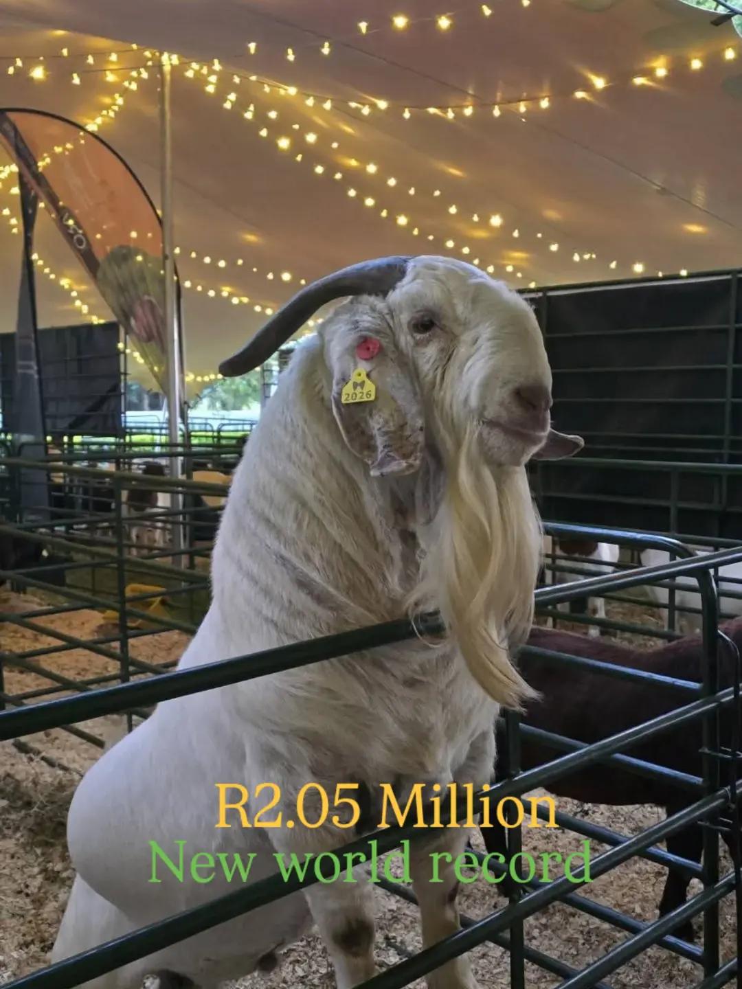 @brothersfarmlivestock