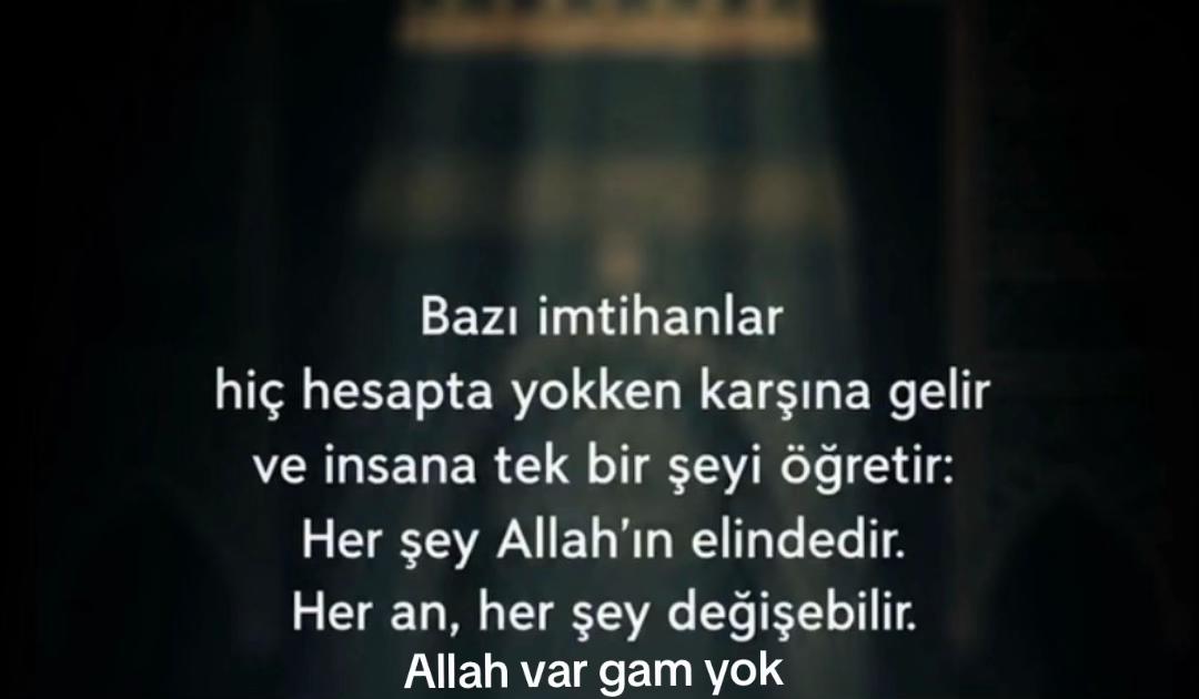 @deniz_2019_34