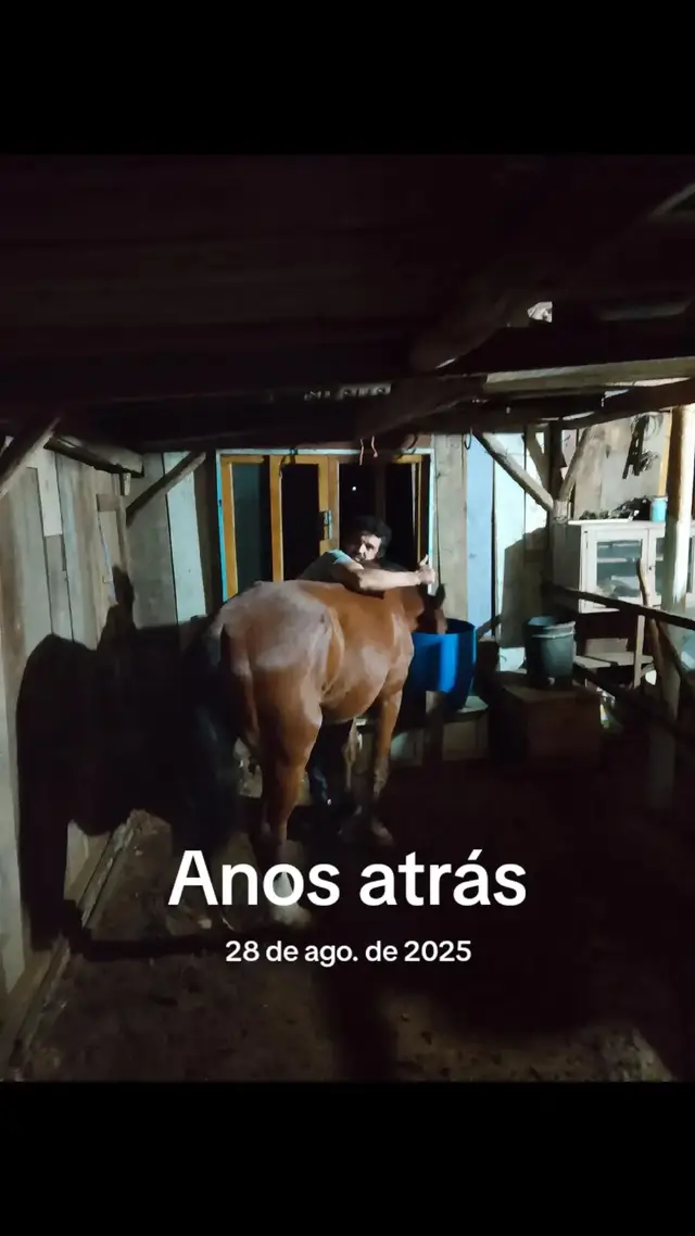 @Fabio Kreiss