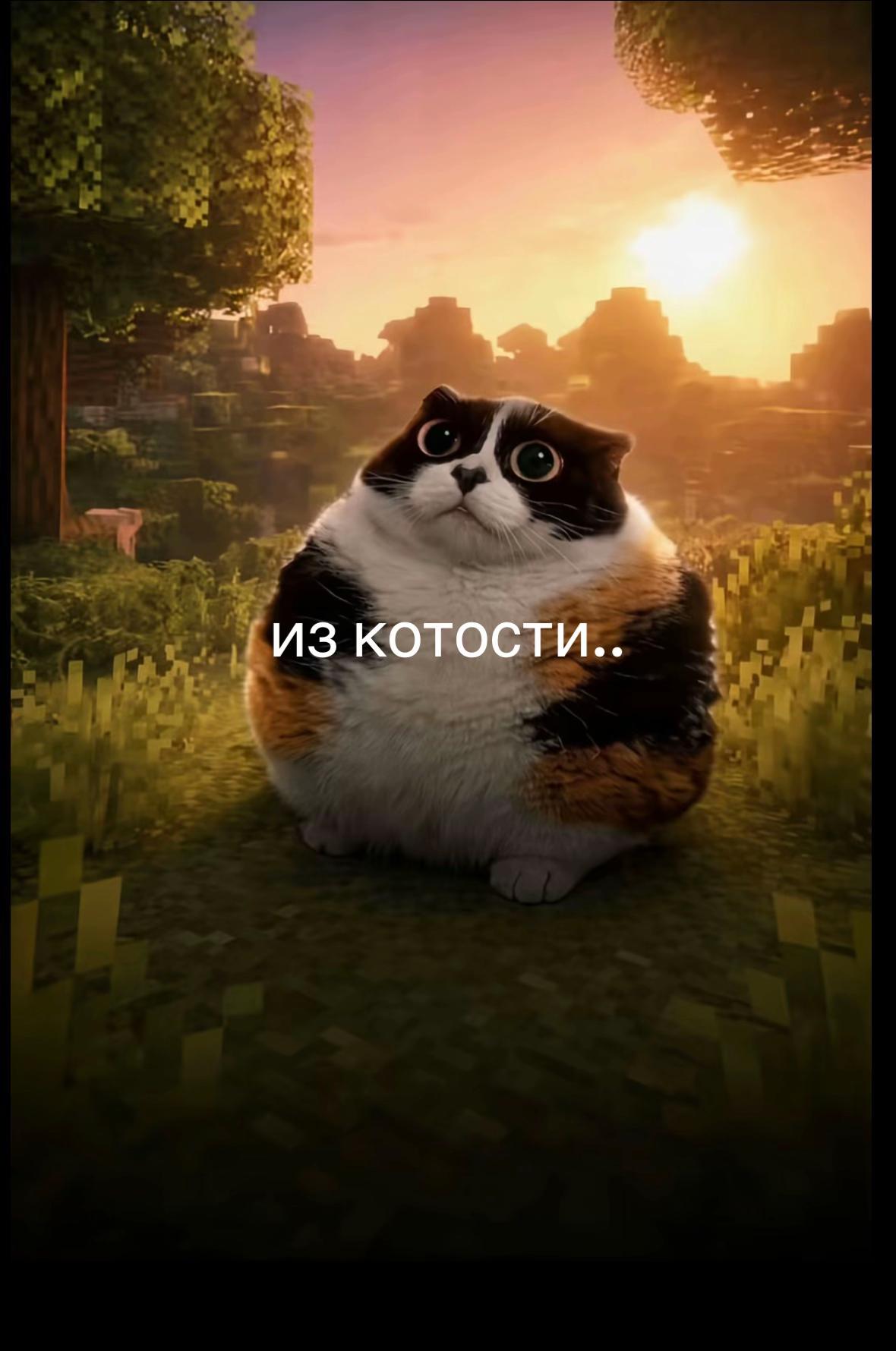 @lanvinov165