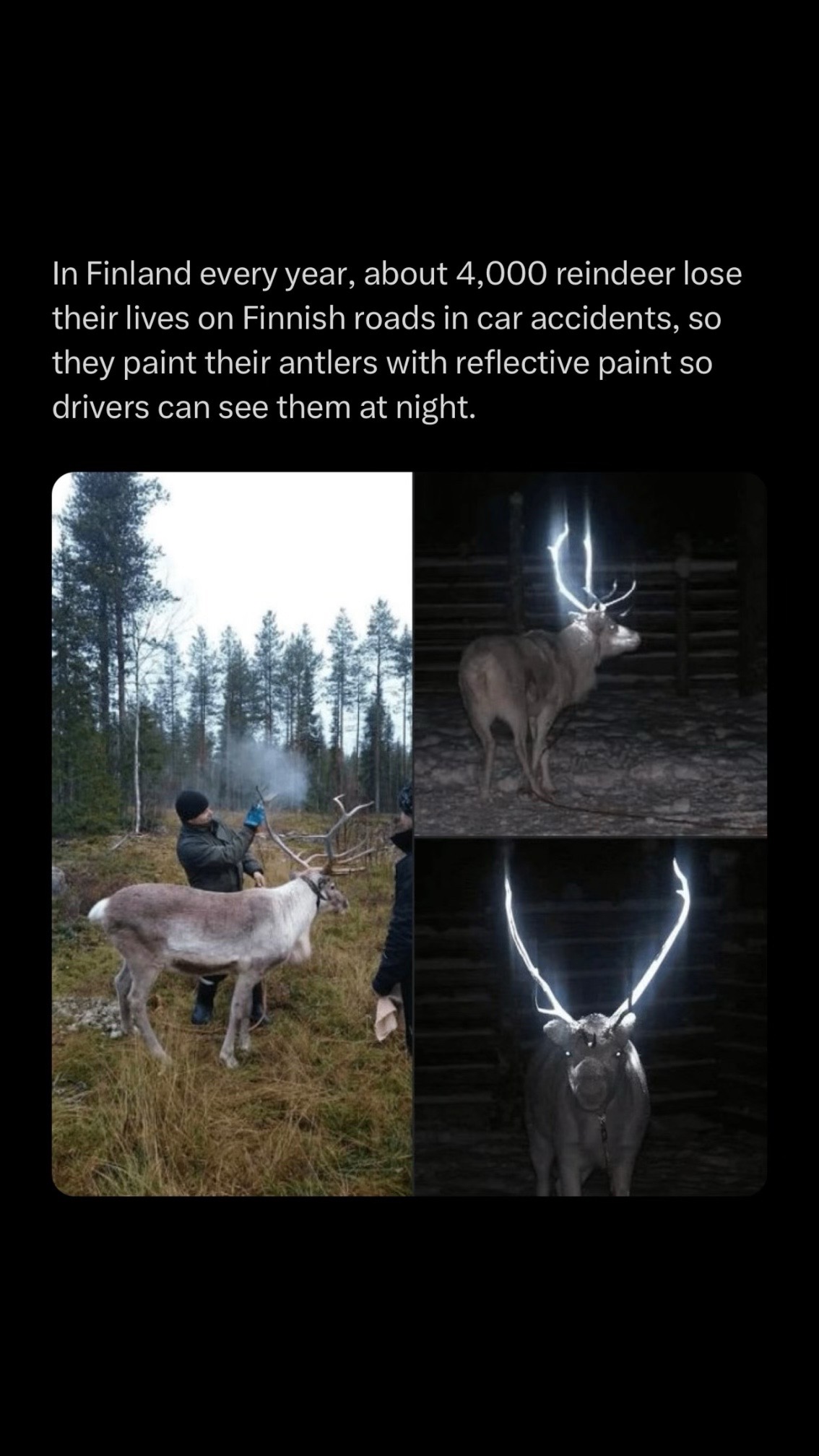 @Creepy.org