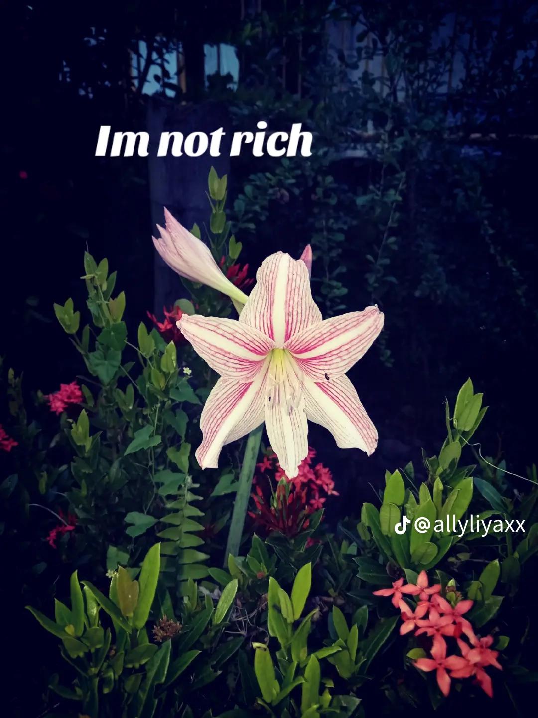 @💖Ella💖