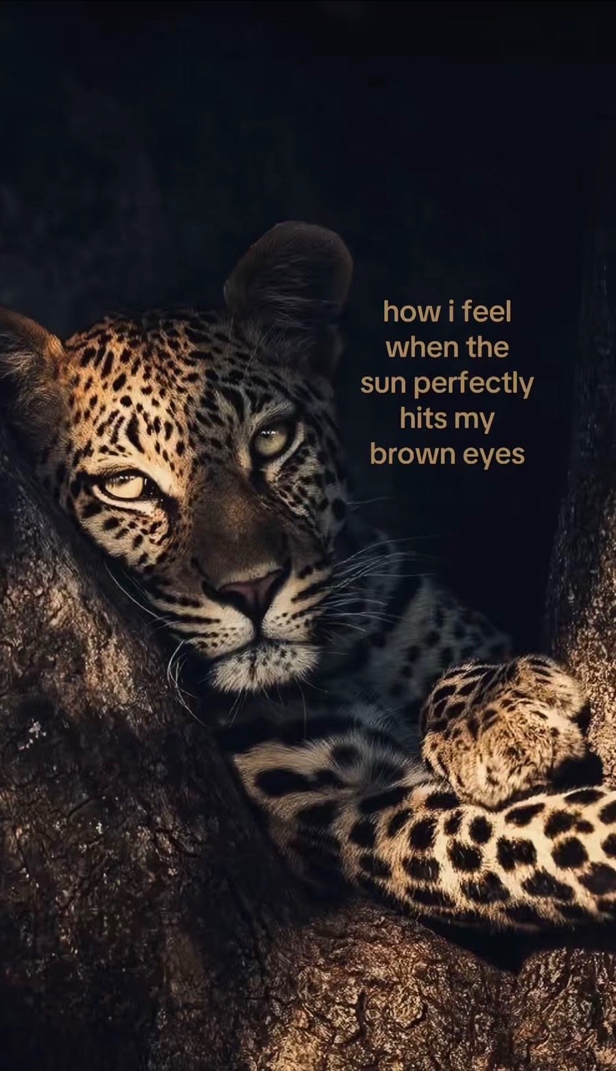 @ℳ𝒶𝒹𝓎