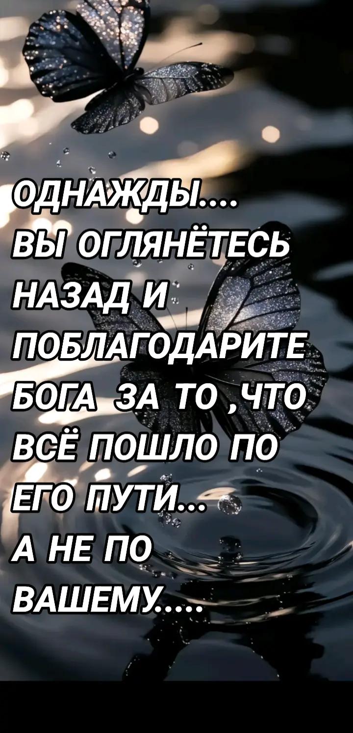@♥️🖤♥️Lisichka