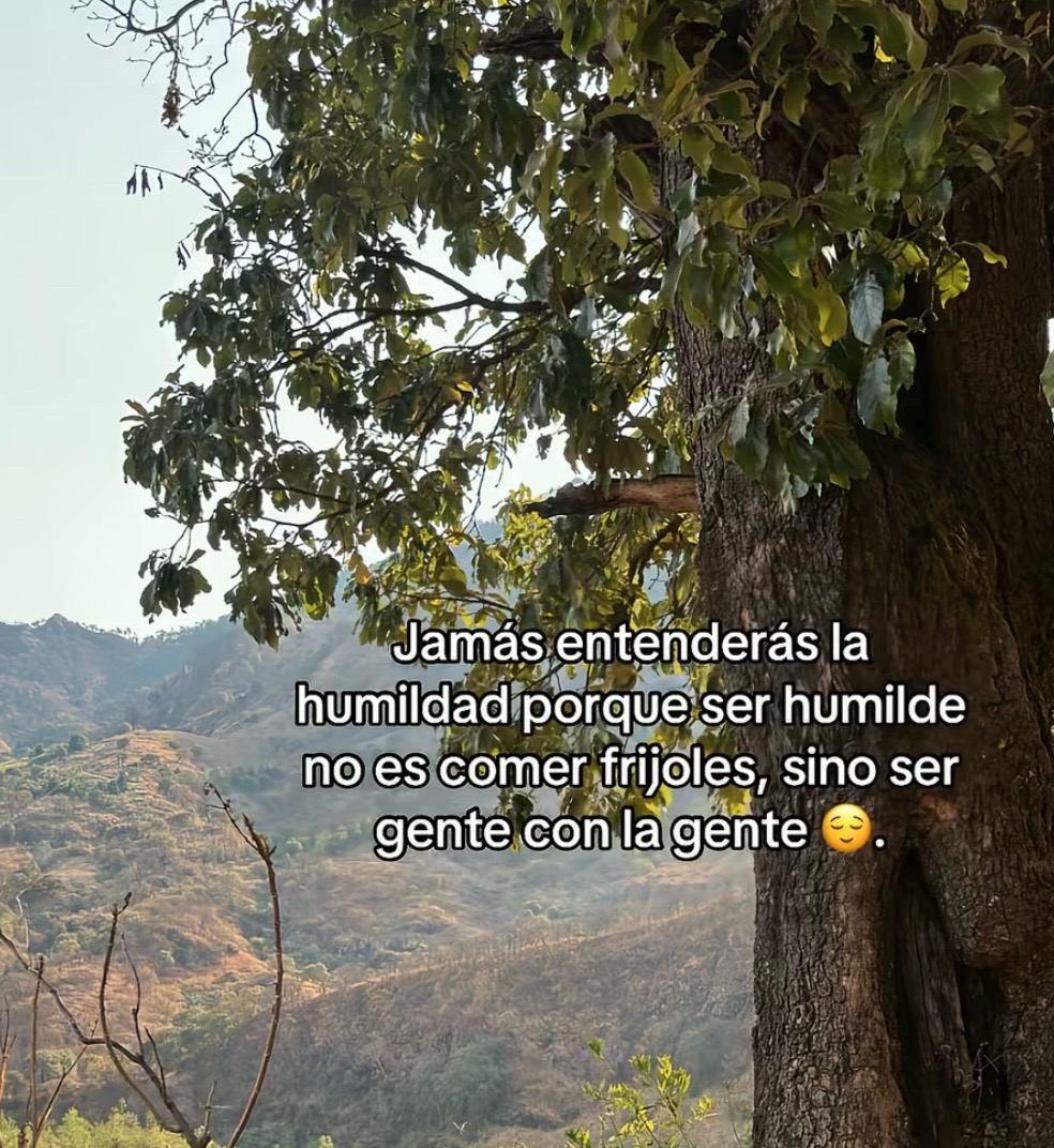 @Saida Manzanedo Fierro