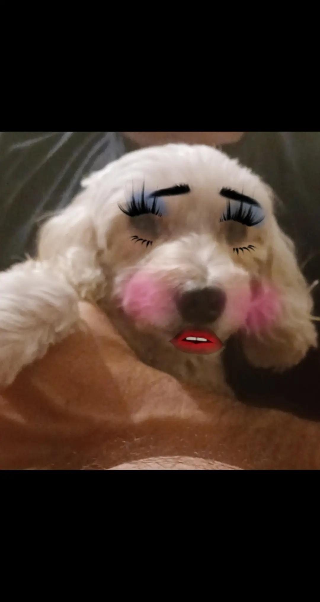 @¡🌸!