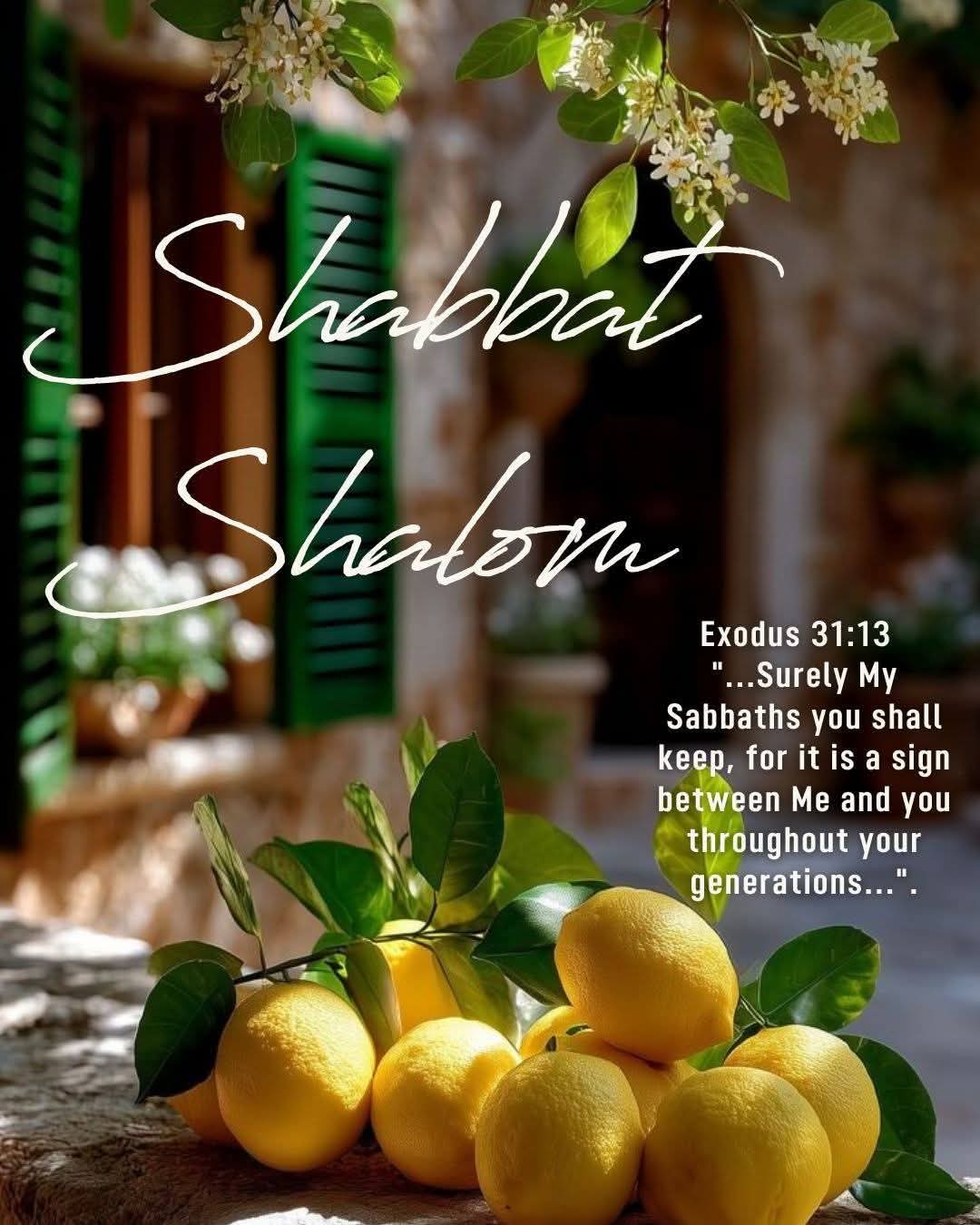 @Israel,The Church of Jesus DC