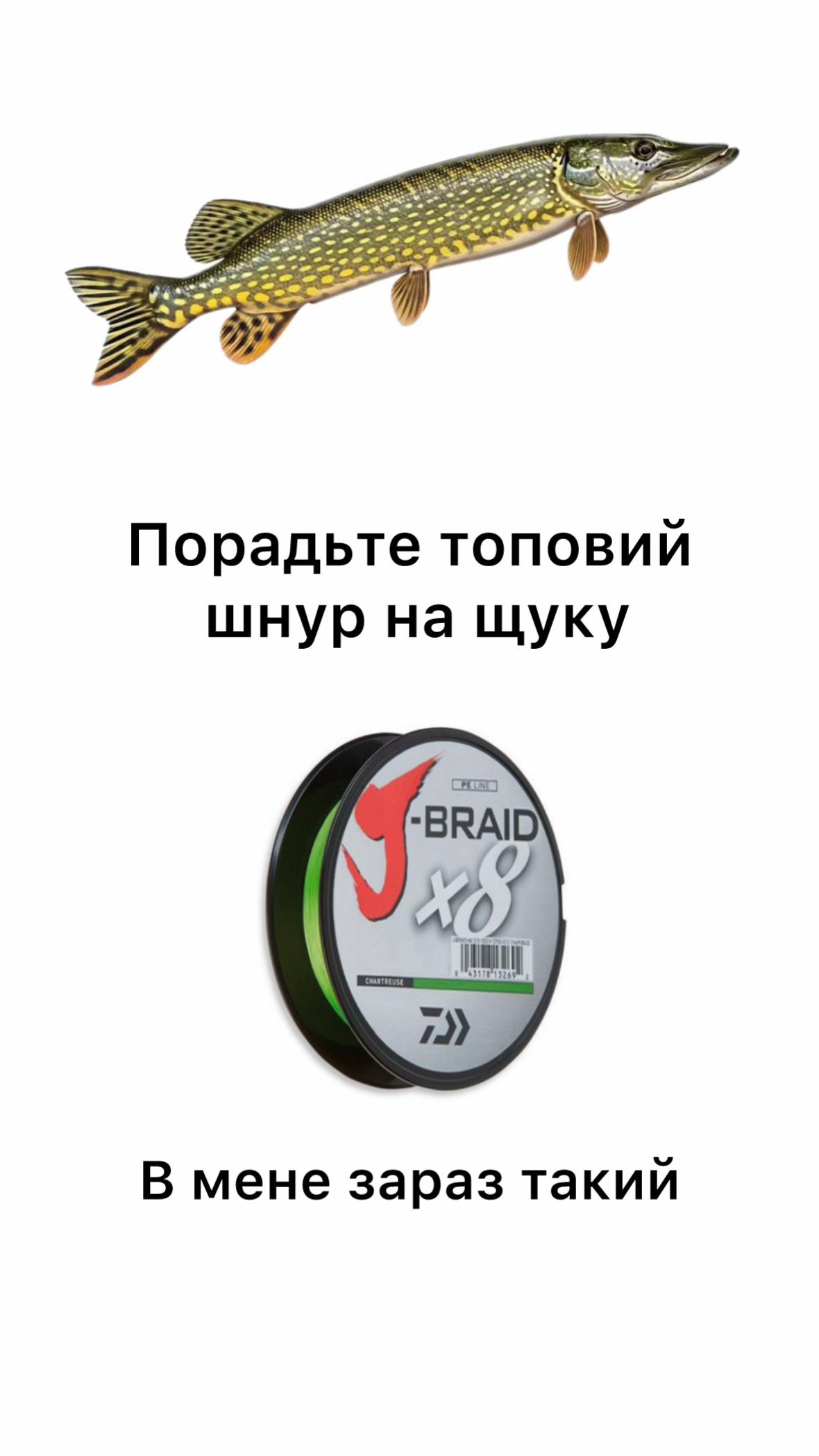 @РИБАЦЬКА МАНІЯ