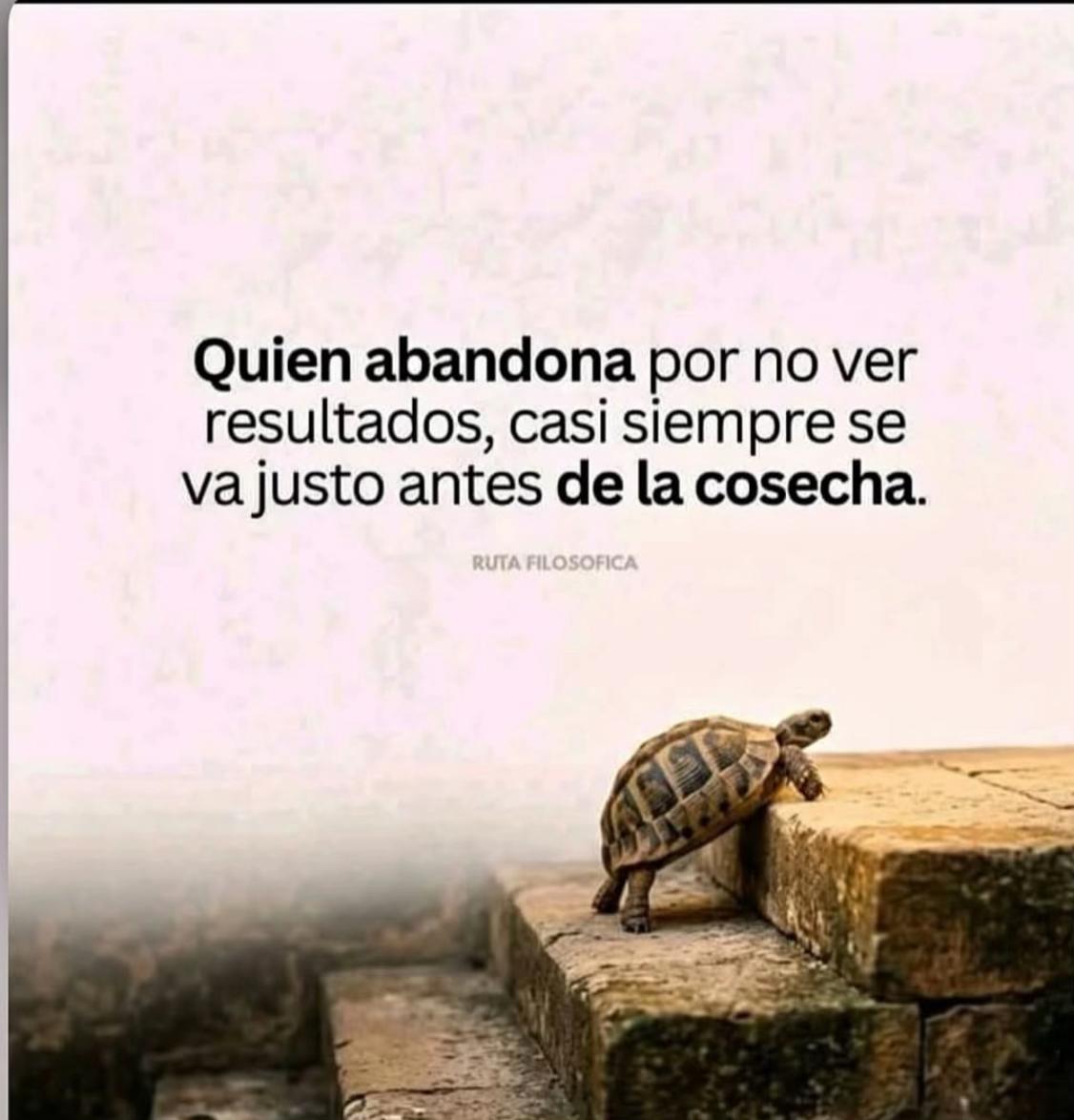 @#el_tipo este😋