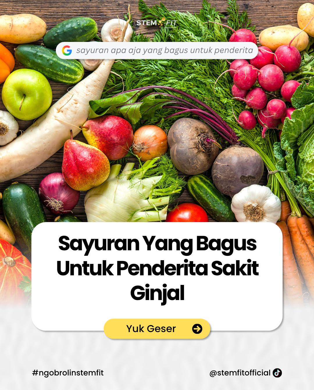 @Stemfit Official