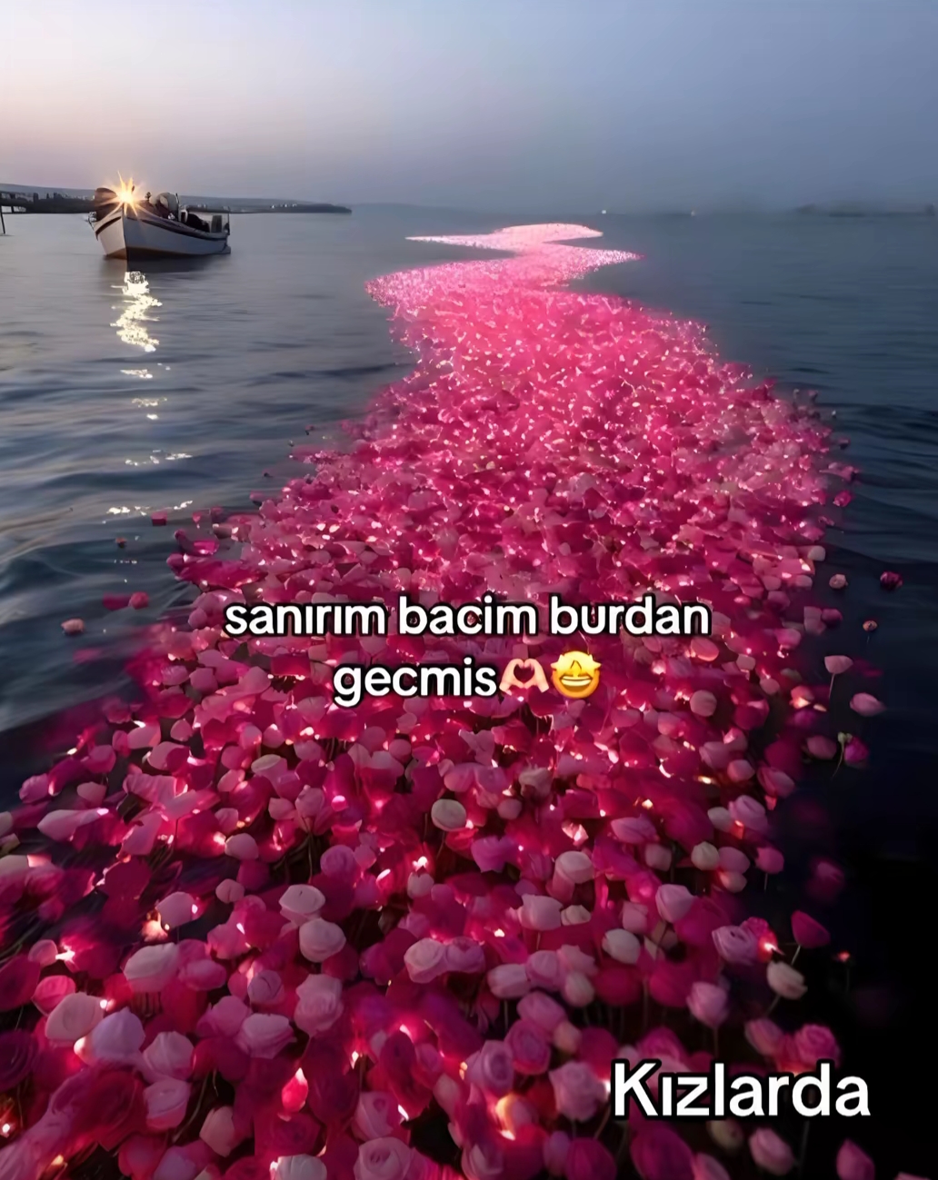 @bekozeyno