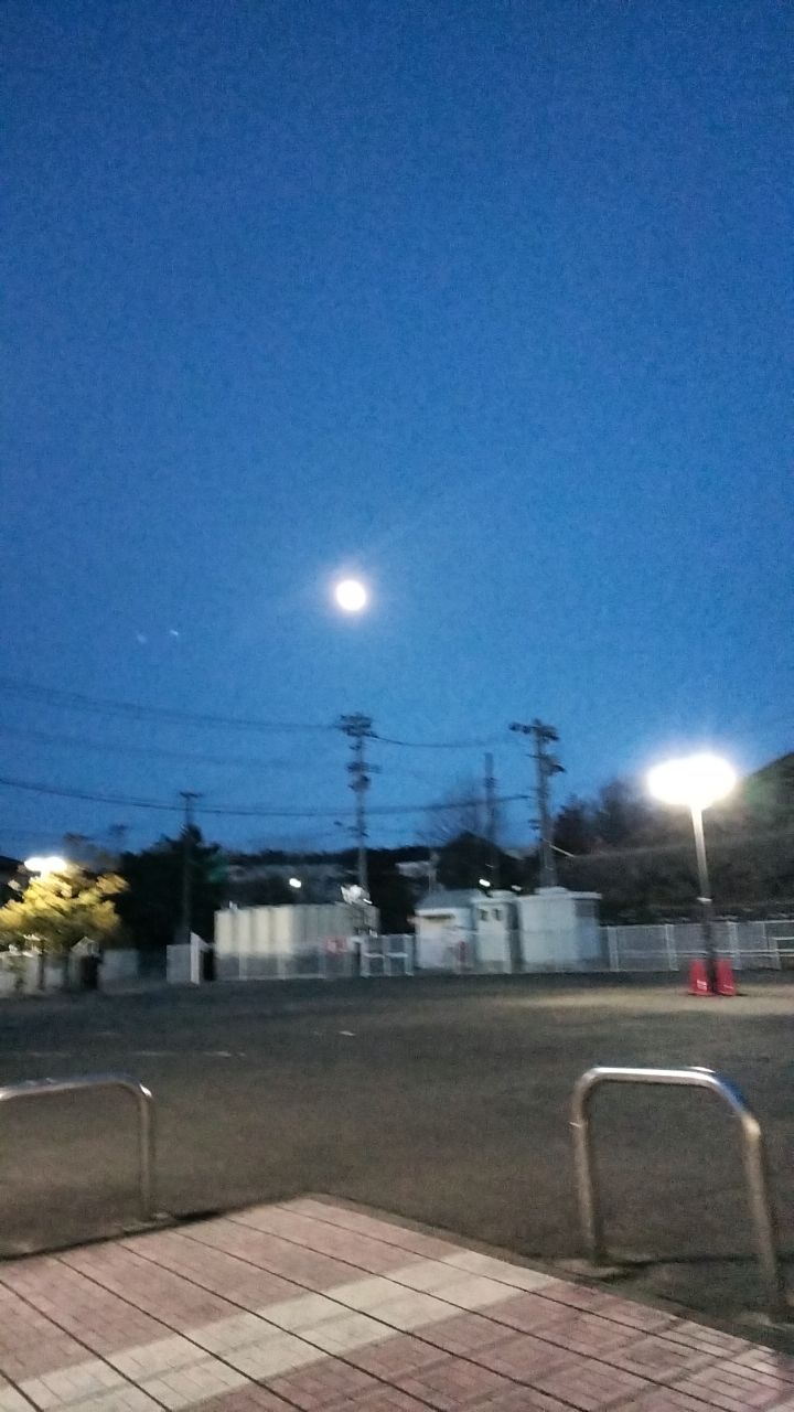 @喍薇爛(ぜびに)