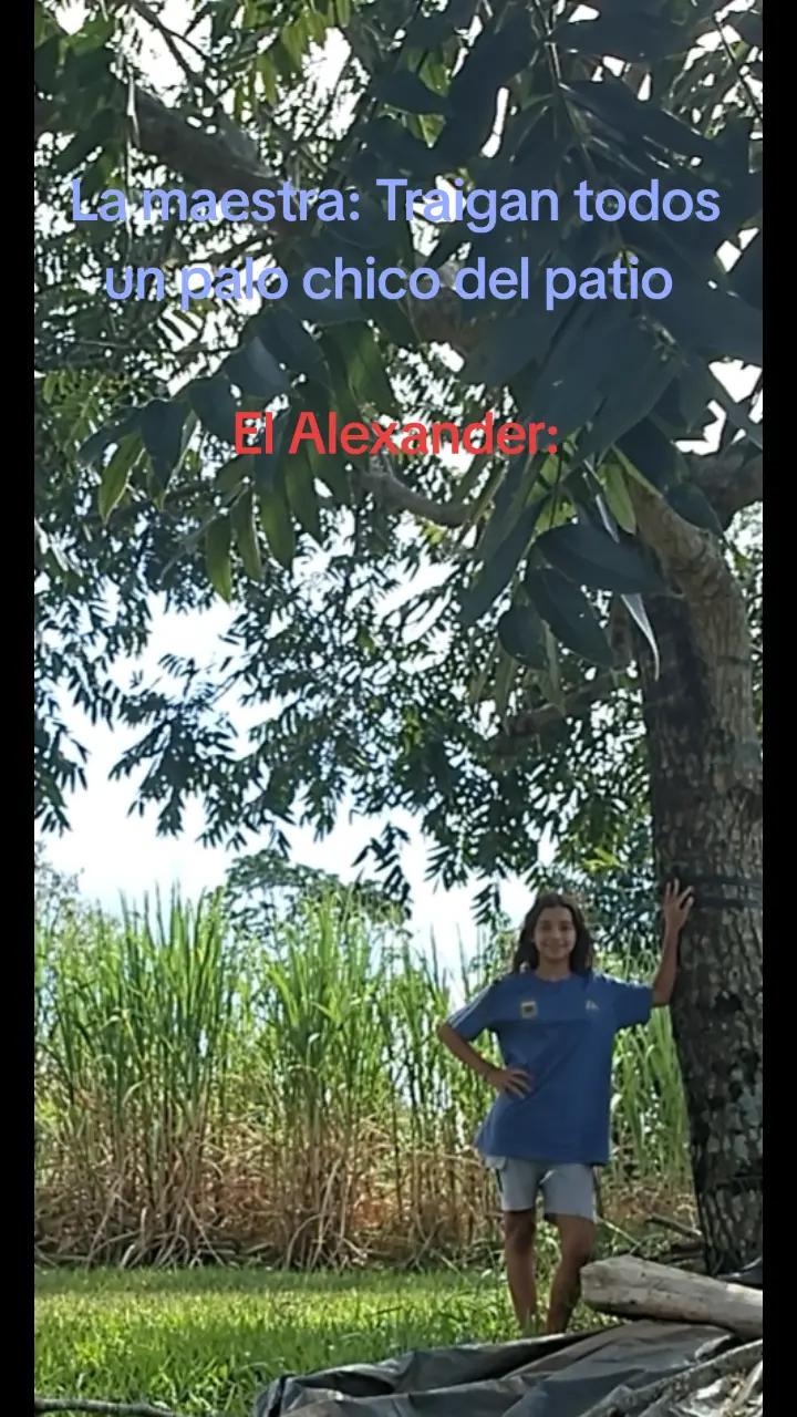 @Aylén?