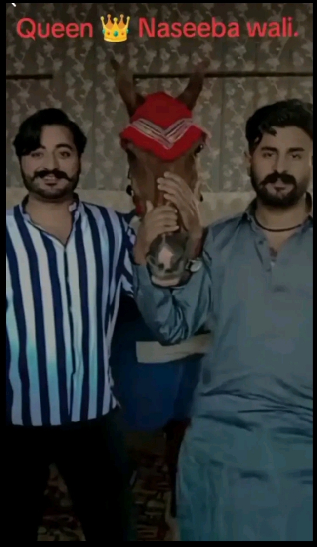 @Lara Gujjar