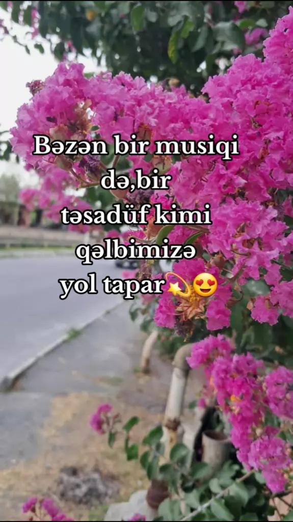 @vardis_bibila♡