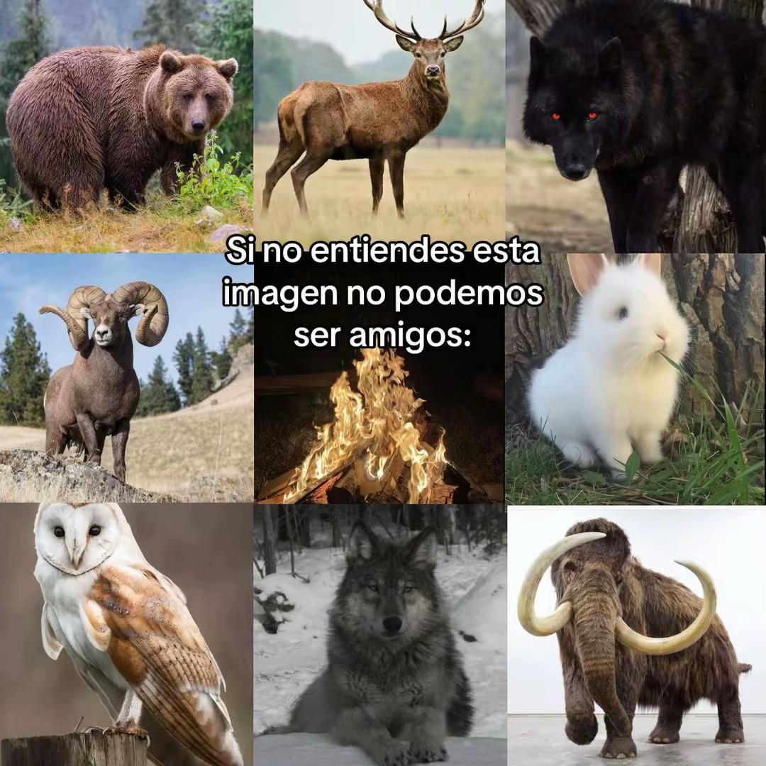 @𝙽𝚊𝚡𝚢𖤝