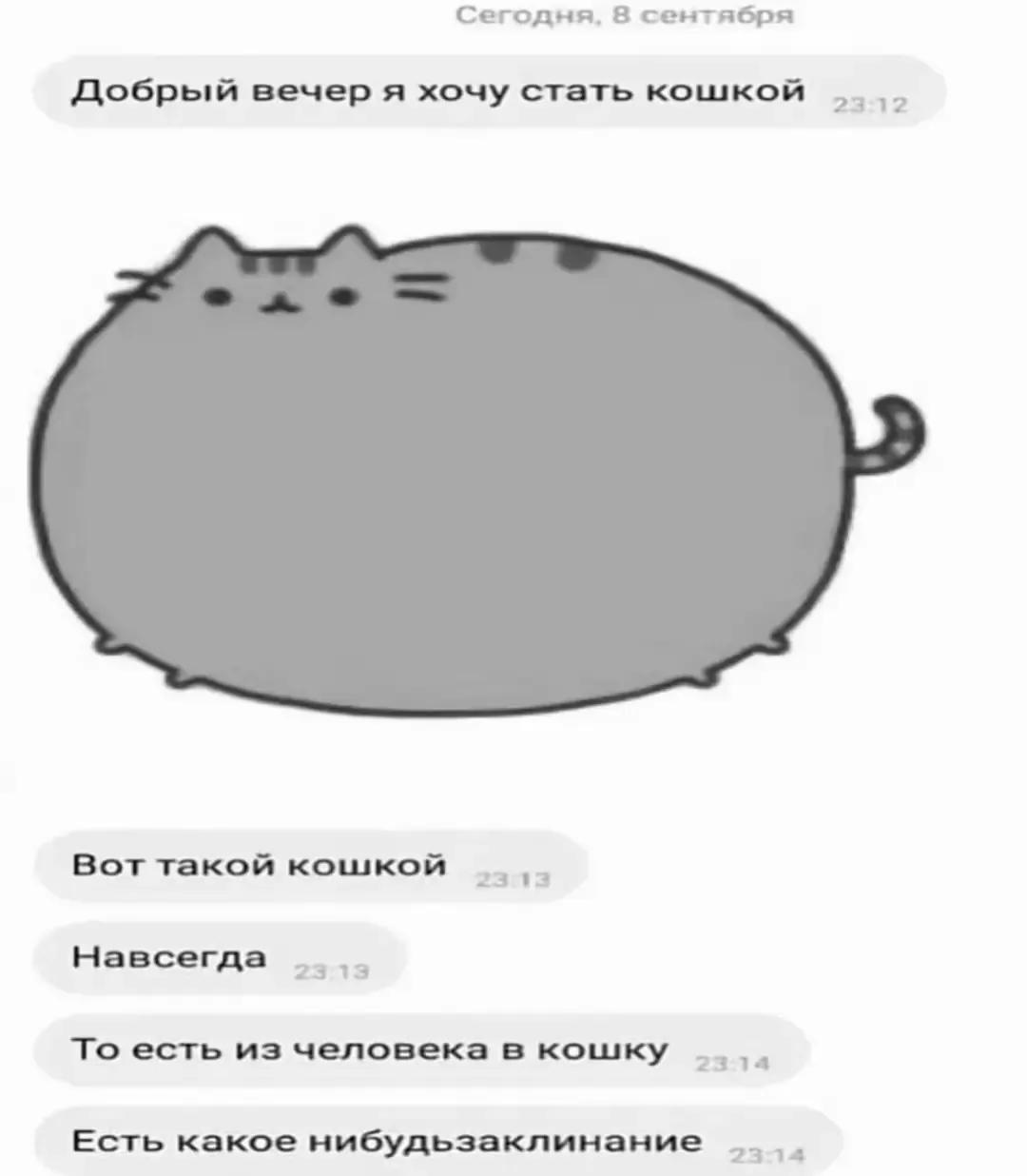 @TGK:mobile_mr