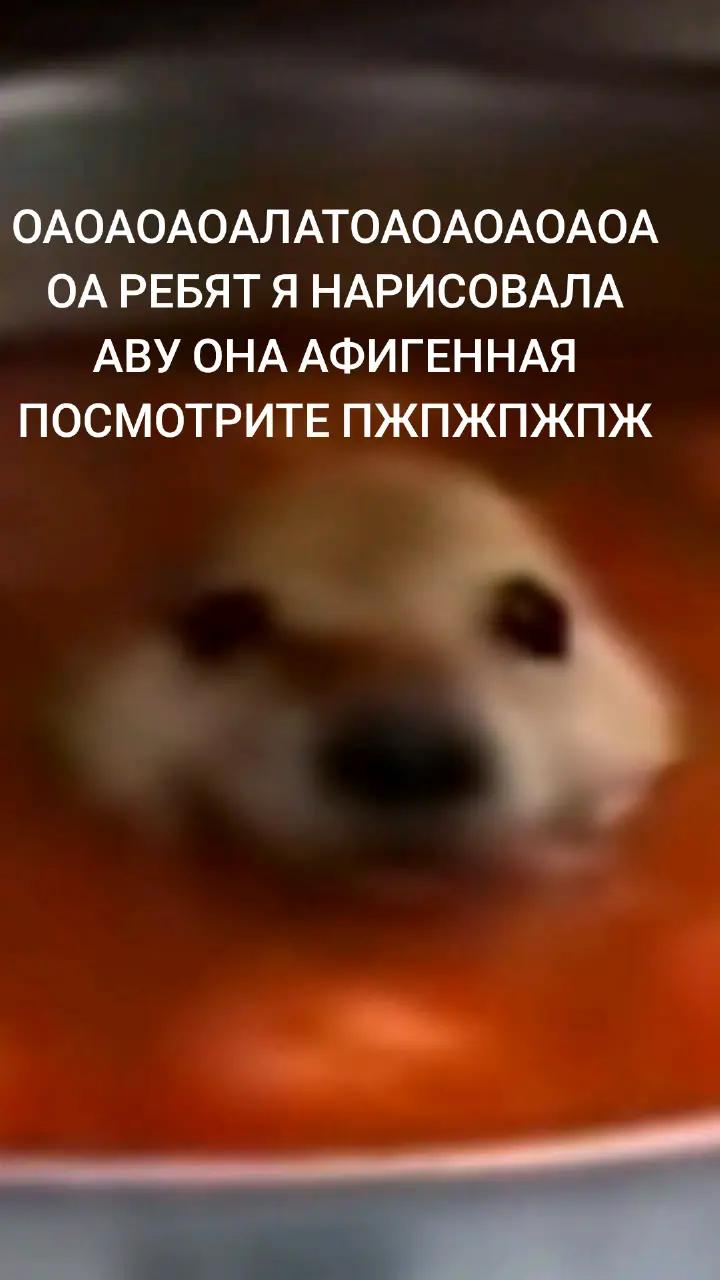 @🌸💮.𝕊𝕒𝕜𝕦𝕣𝕒.💮🌸