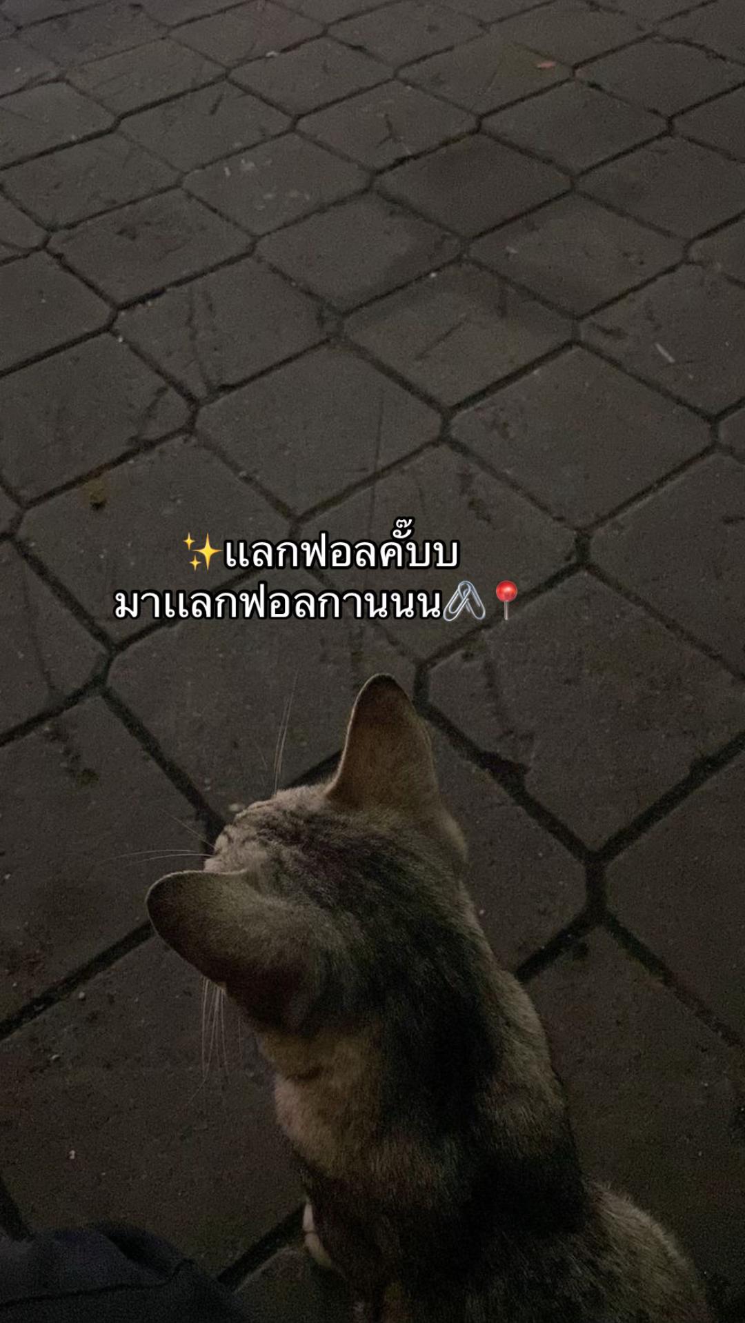 @📌🧺