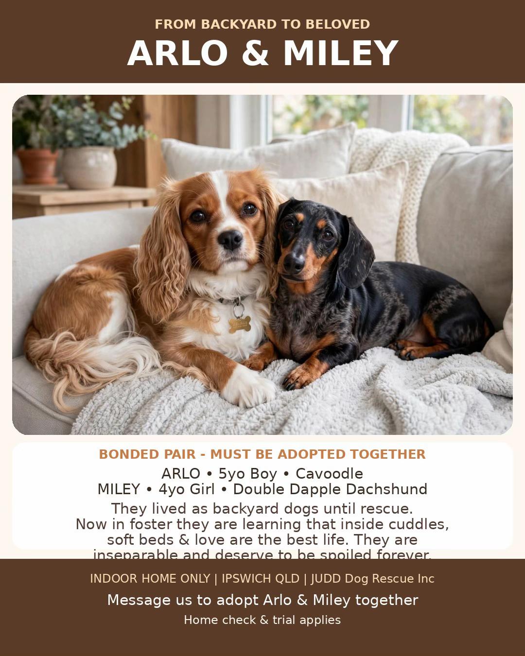 @Judd (just us deserving dogs)