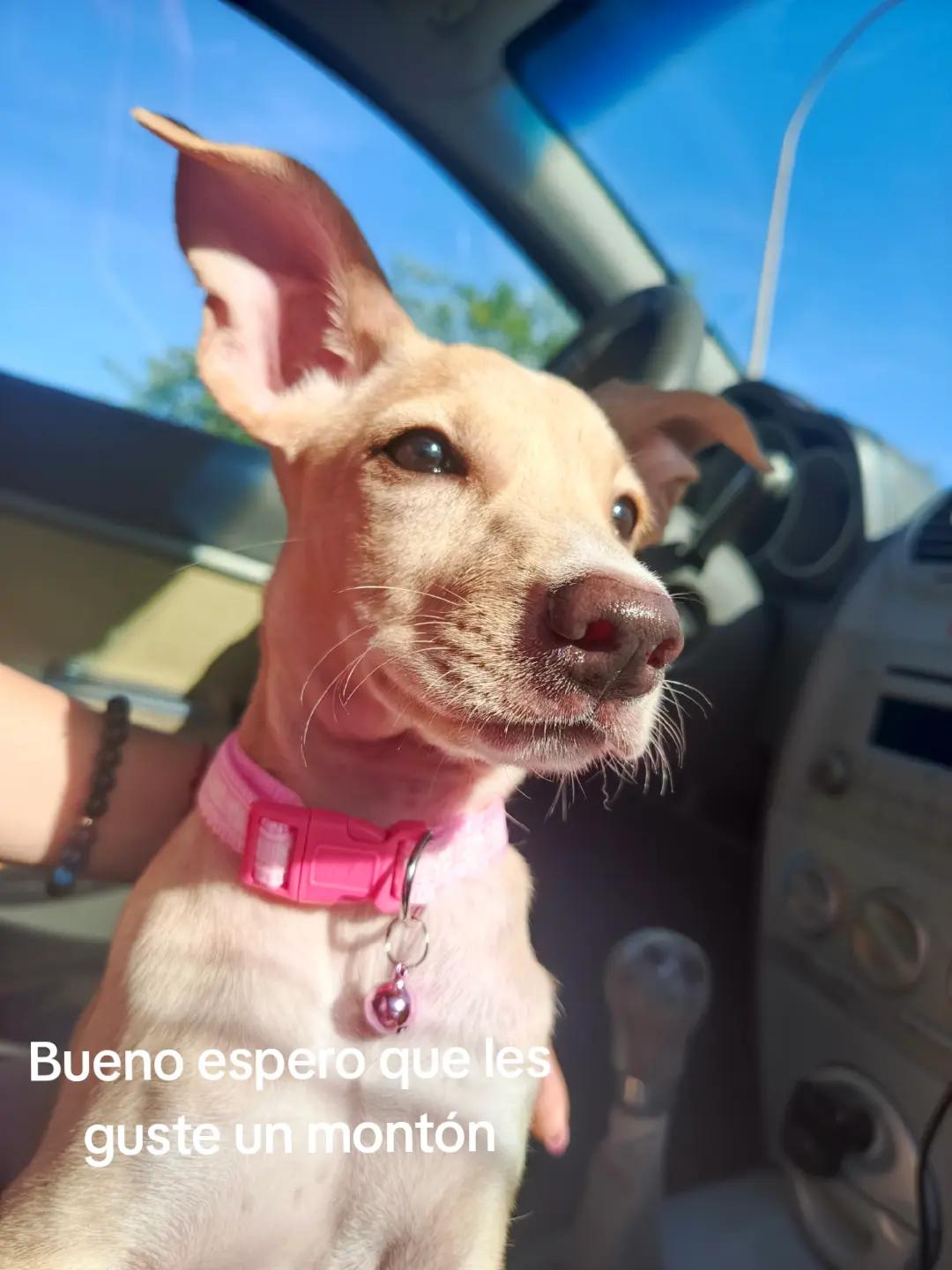 @Vero 💜