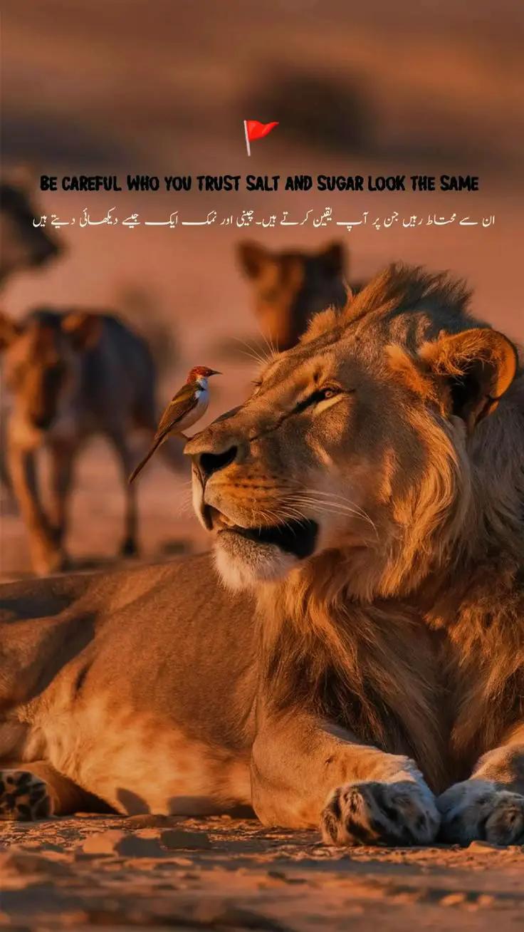 @(جواد)☠️☠️ج-وـ-ا-د🤫👀
